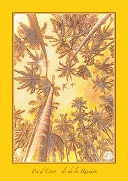 Affiche Premium 40 X 29 cm