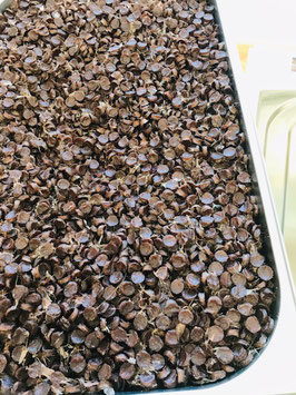 Pferdegudeli 175g