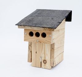 Vogelnisthaus mit vorgezogenen Einschlupf