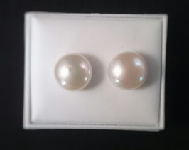 Clous d'oreilles L