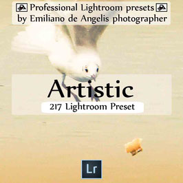 Lightroom professional 217 Artistic presets fotografia digitale
