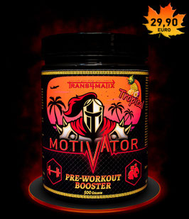 Trans4matix Motivator
