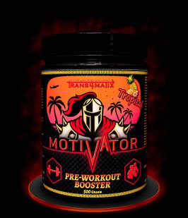 Trans4matix Motivator