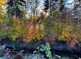 F 140 Sanfter Herbst