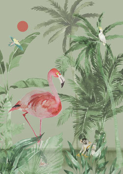 Print "Flamingo"
