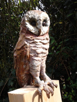 Owl Pepijn  ( M   Collection)
