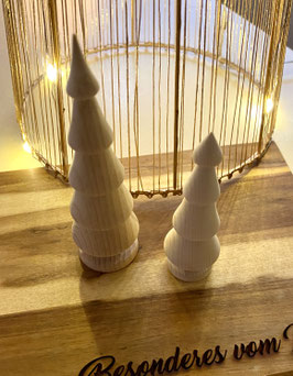 Holztannenbäumchen „Zirbenbaumling“ Set