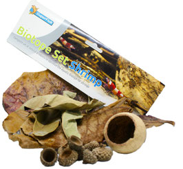 Biotope Set Shrimp