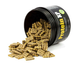GlasGarten - Protein XP