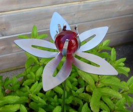 Blümchen rot