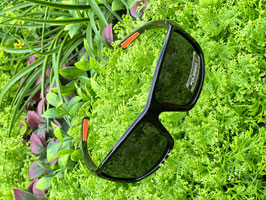 Paire de lunettes polarisantes