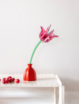 Studio Roof Pink Tulip