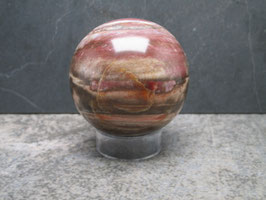 Versteend hout bol