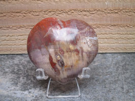 Versteend hout hart