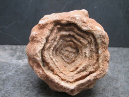 Stromatoliet / Woestijnbariet