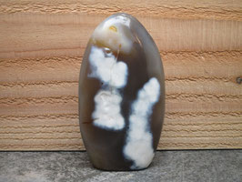 Orka / Pinguin agaat