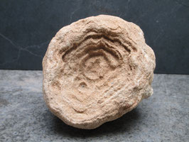 Stromatoliet / Woestijnbariet