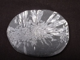 Chrysanthsteen