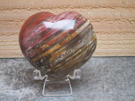 Versteend hout hart