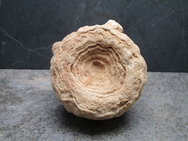 Stromatoliet / Woestijnbariet