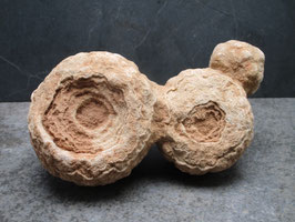 Stromatoliet / Woestijnbariet