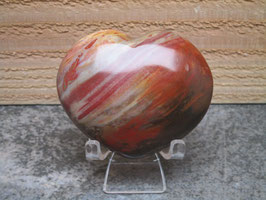 Versteend hout hart