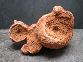 Stromatoliet / Woestijnbariet