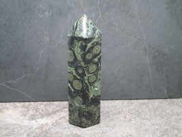 Kambaba jaspis / Eldariet toren