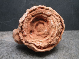 Stromatoliet / Woestijnbariet