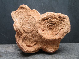 Stromatoliet / Woestijnbariet