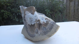 Septarie met calciet en bariet