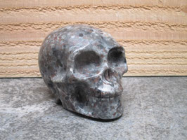 Yooperliet skull