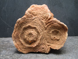 Stromatoliet / Woestijnbariet