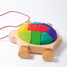 Nachzieh Schildkröte Regenbogen