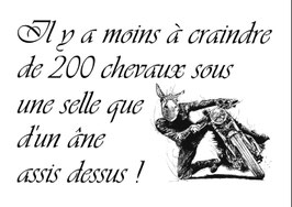 L’âne aux 200cv