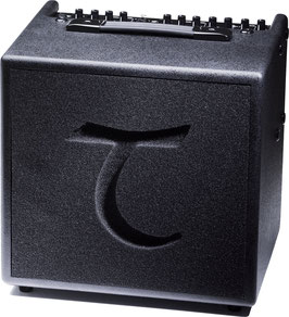 TANGLEWOOD T6G Akustikgitarrenverstärker (Combo)