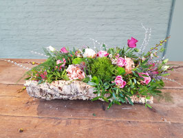 Creatie op schors
