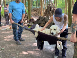 Kurs Erste Hilfe Hund outdoor am 9. Juni 2023, 14-20 Uhr, in Malente / Holsteinische Schweiz