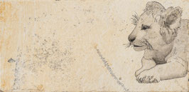 fotodruck leinwand signiert: diverse Tierportraits