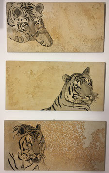 fotodruck leinwand signiert trilogie: ´tiger´