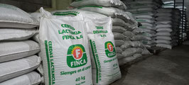 Alimentos concentrados