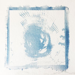 "Terres écorcées" cyanotype IV