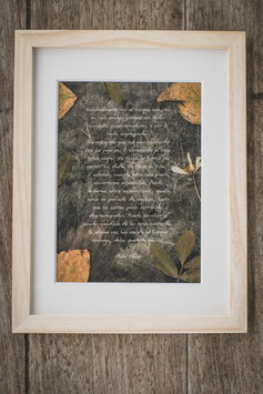 CUADROS MARY OLIVER. ¿CÓMO VOY AL BOSQUE?