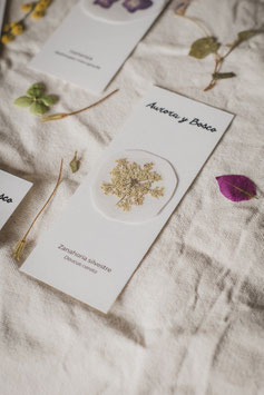 Pegatinas Botánicas con Flores y Plantas Prensadas