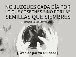 Diseño de la Etiqueta