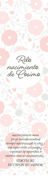 Diseño de la Etiqueta