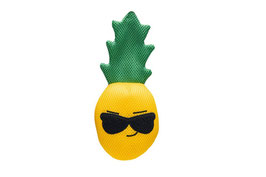 Beeztees ananas