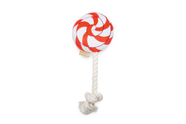 Xmas Beeztees lolly