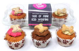 Cupcakes mini
