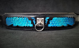 Morelia python halsband blauw